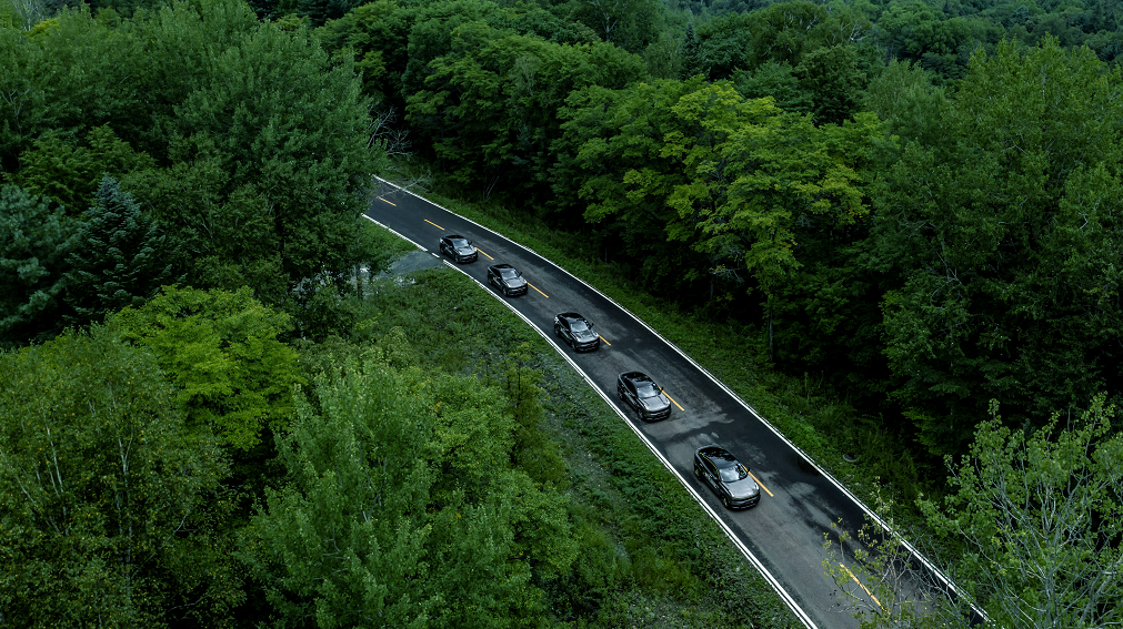 1599016692822323.png image.png