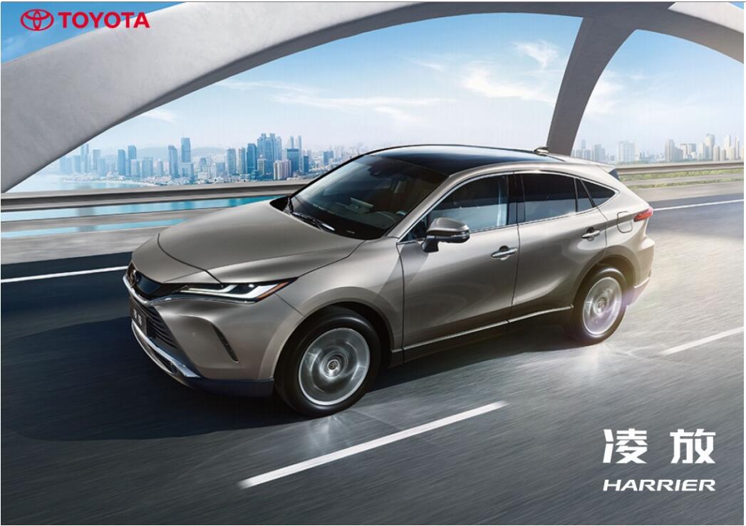 极致触感来袭，凌放演绎皮革之美